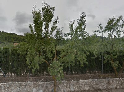 /international/es/biar-valencian-community-310102550730/