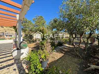 /international/es/campello-valencian-community-310107738435/