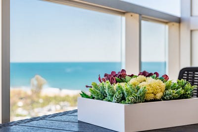 /international/es/oropesa-del-mar-valencian-community-310107412838/