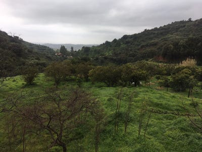 /international/es/pona-andalusia-310100957178/