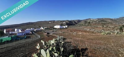 /international/es/ingenio-canary-islands-310101277748/