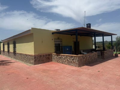 /international/es/utrera-andalusia-310108599446/
