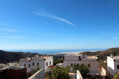 /international/es/el-olivo-18-enix-andalusia-310102340199/
