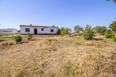 /international/es/huelva-andalusia-310100010363/