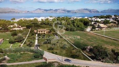 /international/es/alcudia-andalusia-120096008628/?lang=zh-cn