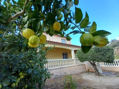 /international/es/carrer-de-la-travessa-8-46600-alzira-valencia-spain-alzira-valencian-community-310105827573/