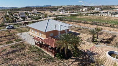 /international/es/pinoso-valencian-community-310108900753/