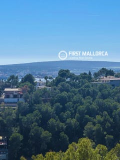 /international/es/21-carrer-sant-tomas-calvia-balearic-islands-310107089272/