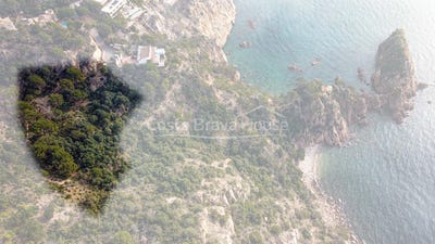 /international/es/sant-feliu-de-guixols-catalonia-120083022582/