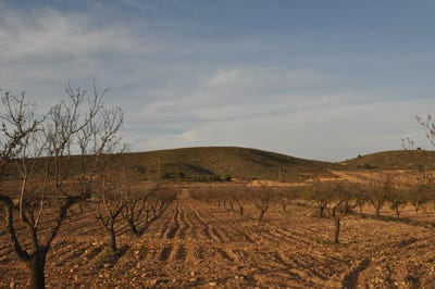 /international/es/abanilla-region-of-murcia-310100409036/