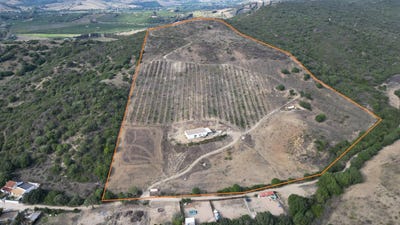 /international/es/manilva-andalusia-310101411719/
