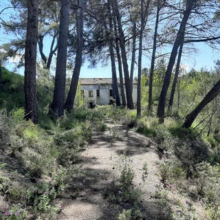 /international/es/planes-valencian-community-310108835171/
