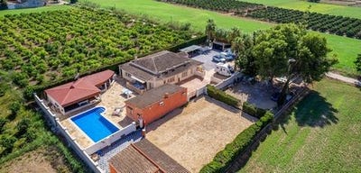 /international/es/almoradi-valencian-community-310102460909/