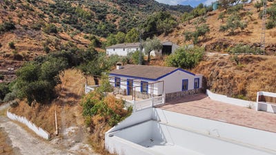/international/es/guaro-andalusia-310108322688/