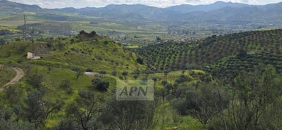 /international/es/alora-andalusia-310104283902/