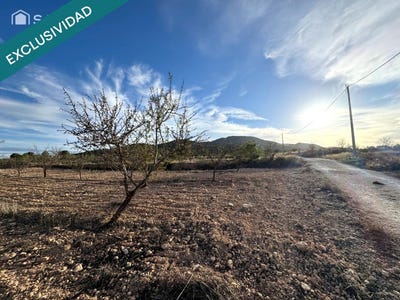/international/es/monovar-valencian-community-310105894082/