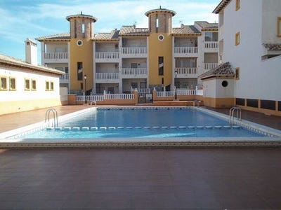 /international/es/elche-valencian-community-310101515528/?lang=fr