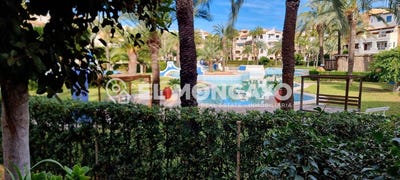 /international/es/torrevieja-valencian-community-310108953543/