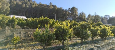/international/es/pego-valencian-community-310109797129/