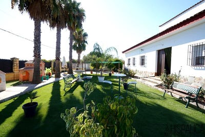 /international/es/brenes-andalusia-310110352381/
