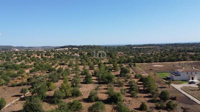 /international/es/marratxi-balearic-islands-310101532972/?lang=en