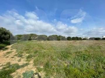 /international/es/calle-del-poligono-21-cambrils-catalonia-310107641090/