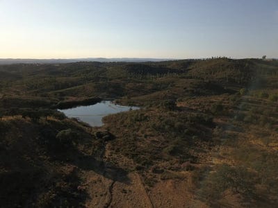 /international/es/calanas-andalusia-310105377116/