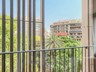 /international/es/palma-de-mallorca-balearic-islands-310100489302/