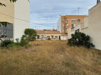 /international/es/elche-elx-valencian-community-310101354356/