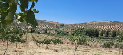 /international/es/canete-la-real-andalusia-310104490839/