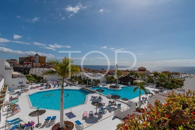 /international/es/adeje-canary-islands-310101206147/?lang=zh-tw