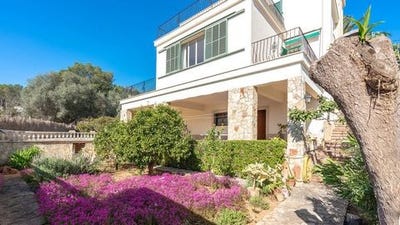 /international/es/palma-region-of-murcia-310100403851/