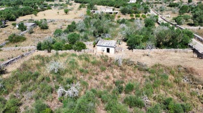 /international/es/poligono-9-santa-margalida-balearic-islands-310108514227/
