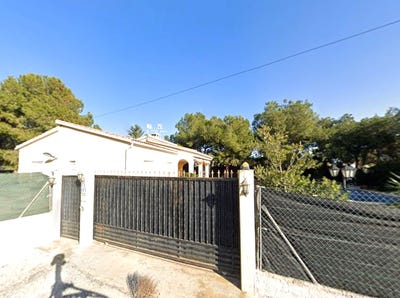 /international/es/elche-elx-valencian-community-310119772639/