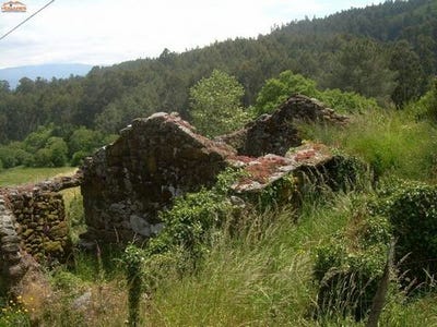 /international/es/a-caniza-galicia-310108163447/