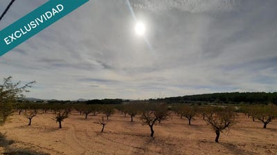 /international/es/almansa-castile-la-mancha-310108002997/