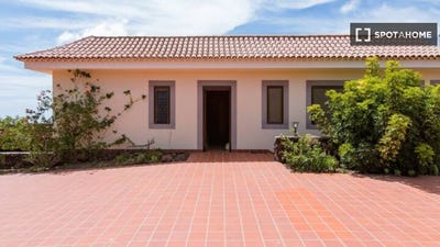 /international/es/santa-cruz-de-tenerife-canary-islands-310108561366/