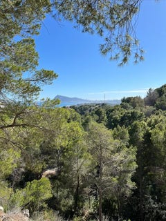 /international/es/altea-valencian-community-310110206012/