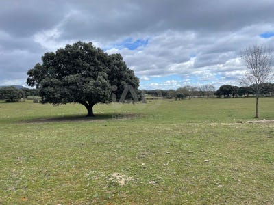 /international/es/finca-agua-de-sanmartin-galapagar-madrid-310106687464/