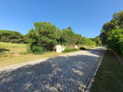 /international/es/sotogrande-andalusia-120095847917/