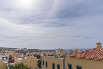 /international/es/san-miguel-de-abona-canary-islands-310099941727/
