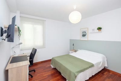 /international/es/carrer-dr-lluch-valencia-valencian-community-310108759843/
