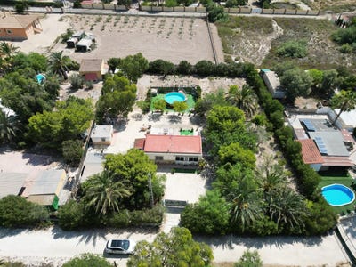 /international/es/elche-valencian-community-310101514534/?lang=fr