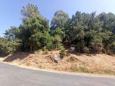 /international/es/barbadas-galicia-310101283101/