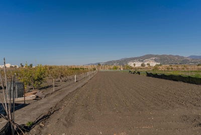 /international/es/salobrena-andalusia-310103538031/