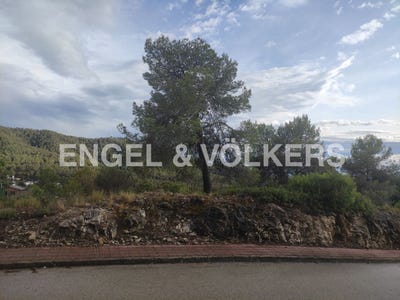 /international/es/vallirana-catalonia-310094936998/