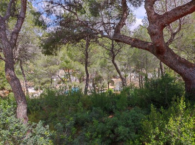 /international/es/teulada-valencian-community-310107759123/