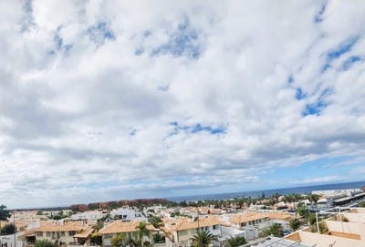 /international/es/palm-mar-canary-islands-310100697663/