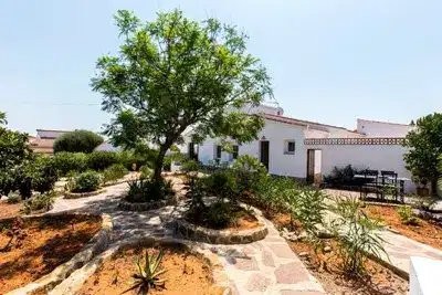 /international/es/pedreguer-valencian-community-310109781428/