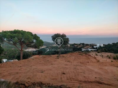 /international/es/sant-andreu-de-llavaneres-catalonia-310104062342/